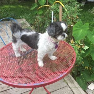 Meet your Posher, Vilma